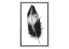 Feather in Black and White | Feather Wall Art