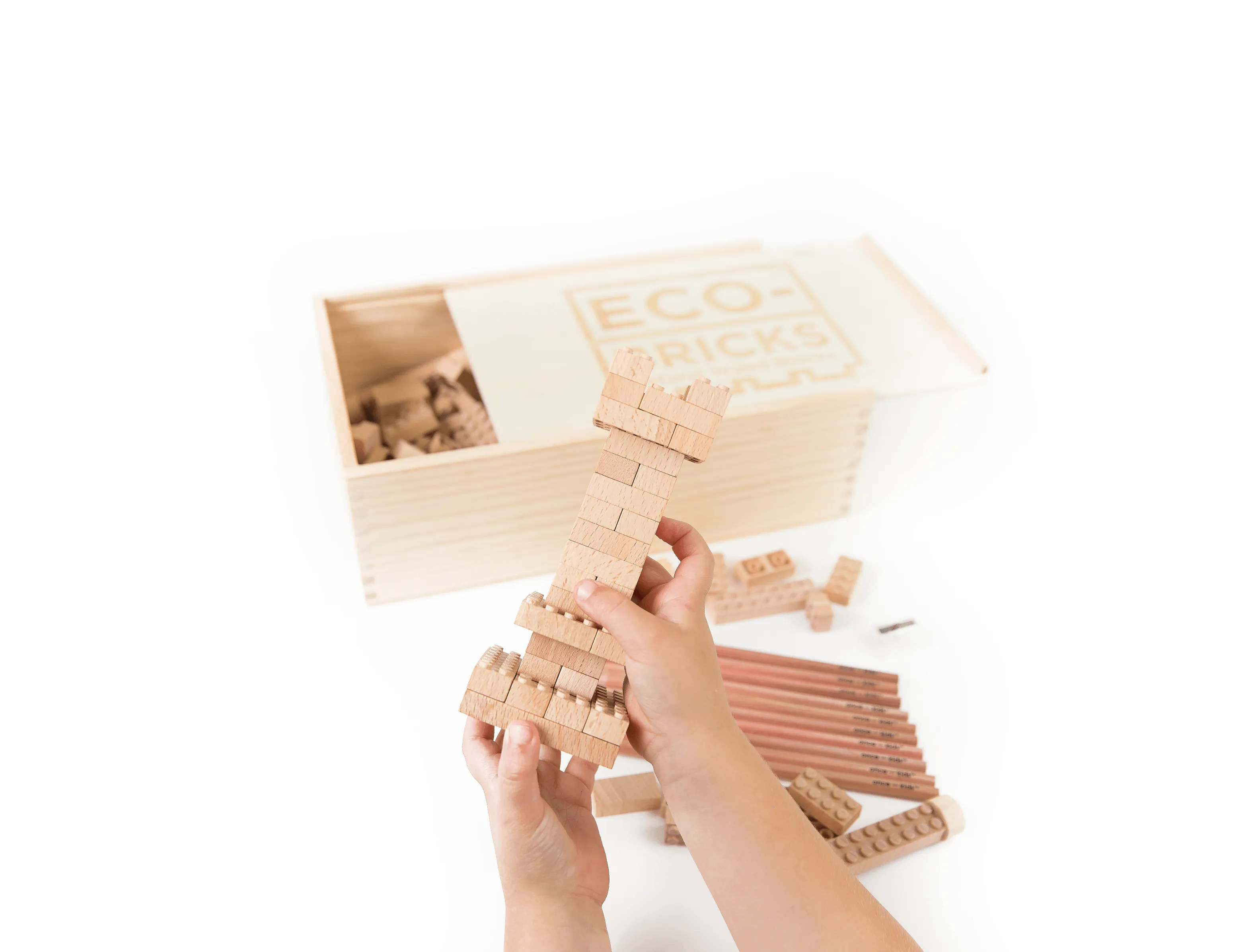 Wood Bricks 250pcs