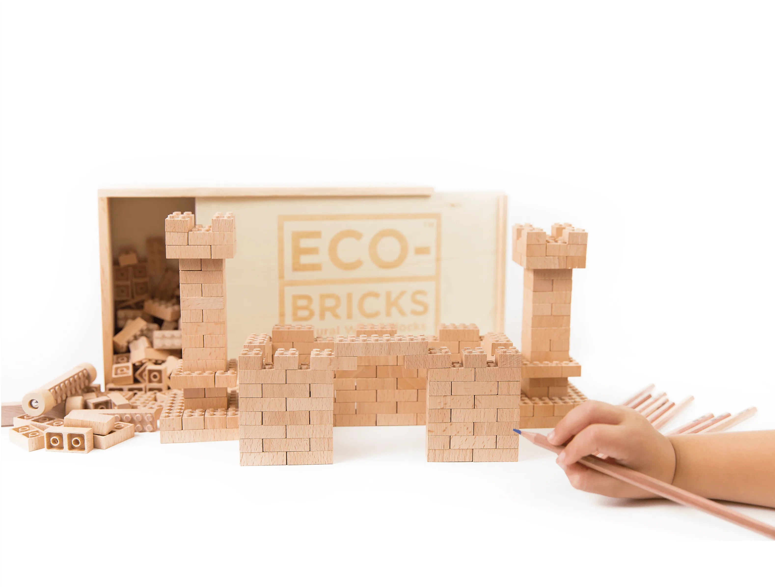 Wood Bricks 250pcs