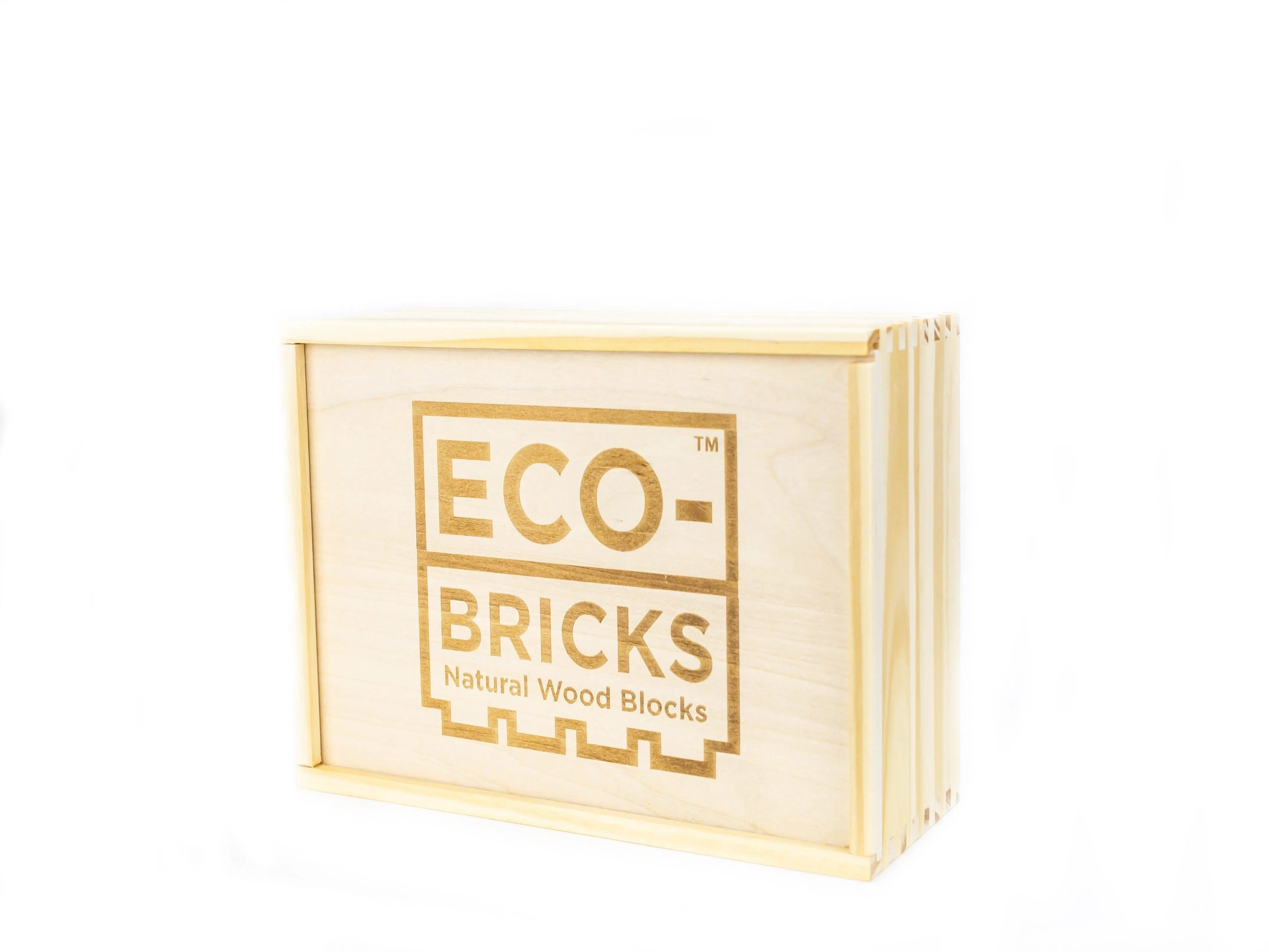 Wood Bricks 250pcs